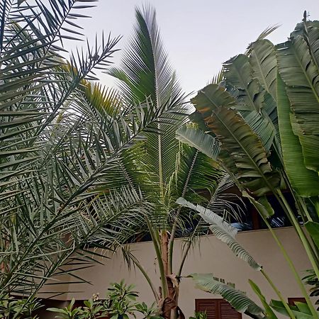 פראייה Casa Das Buganvilias מראה חיצוני תמונה