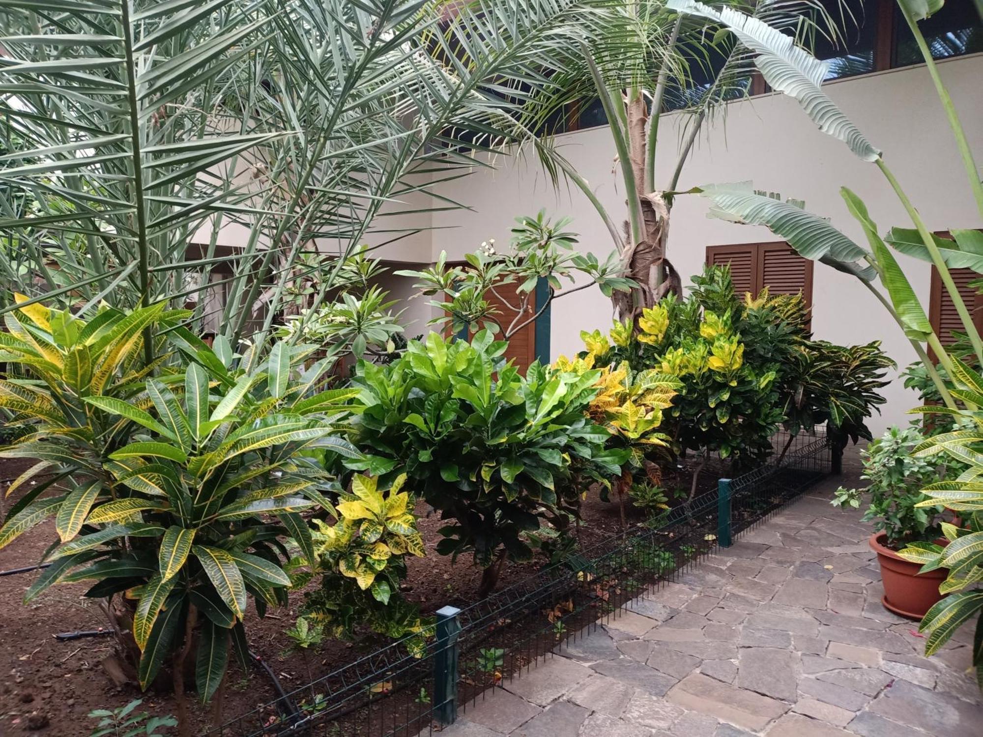 פראייה Casa Das Buganvilias מראה חיצוני תמונה