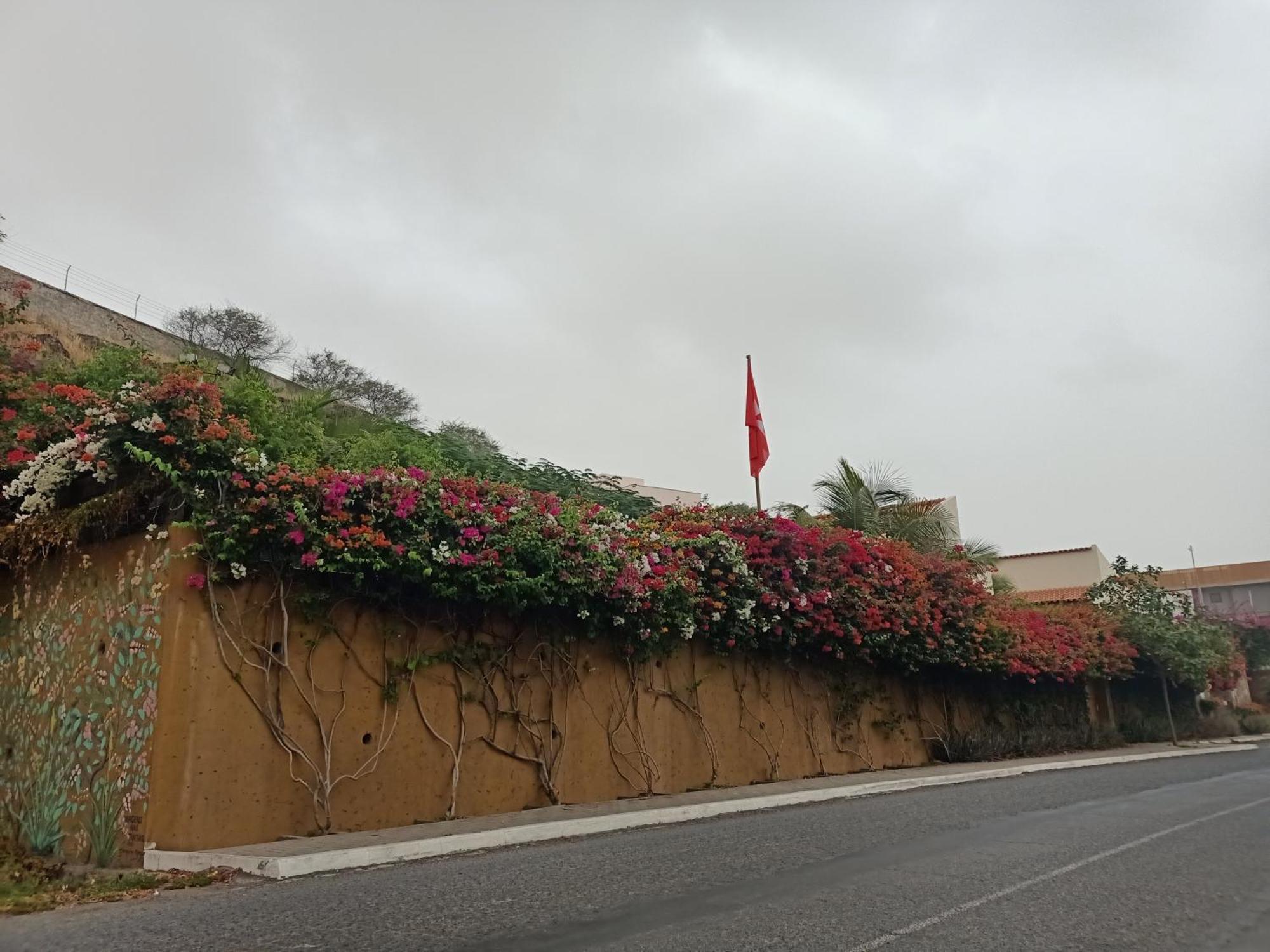 פראייה Casa Das Buganvilias מראה חיצוני תמונה