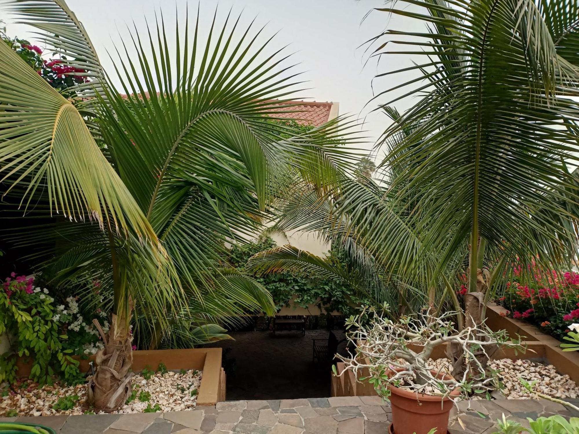פראייה Casa Das Buganvilias מראה חיצוני תמונה